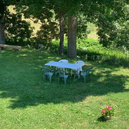 Ferme Au Calme A 15Mn Du Chambon Sur Lignon Villa Saint-Jeures Kültér fotó