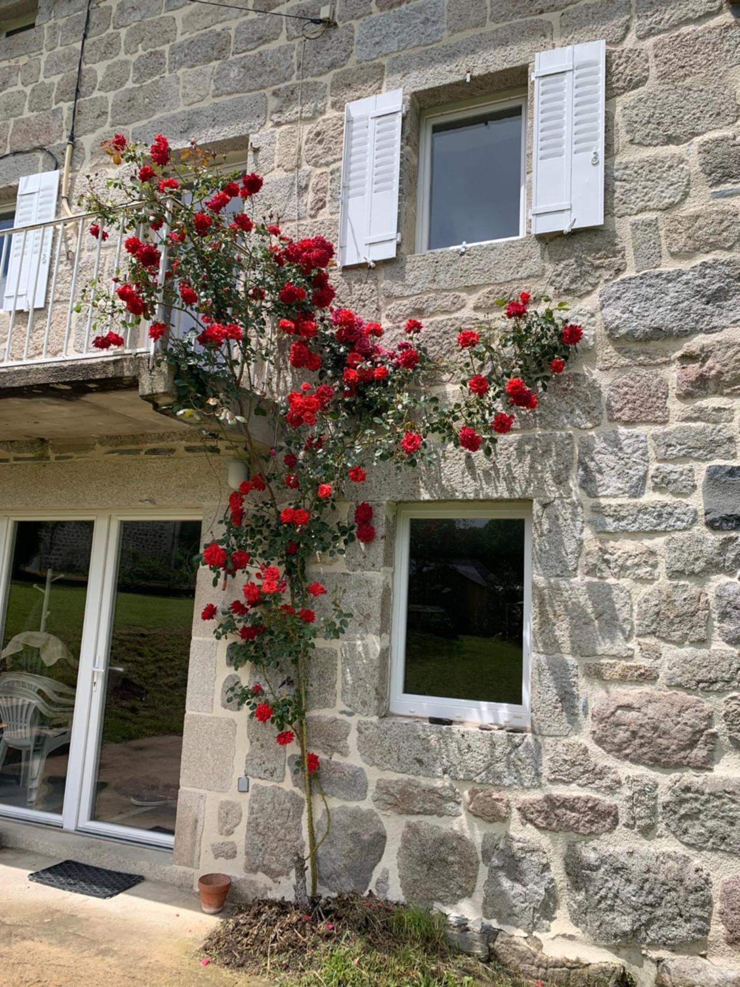 Ferme Au Calme A 15Mn Du Chambon Sur Lignon Villa Saint-Jeures Kültér fotó